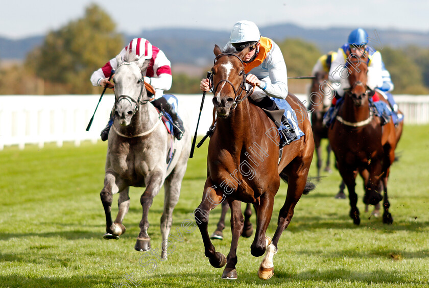 Ice-Station-Zebra-0003 
 ICE STATION ZEBRA (Rob Hornby) wins The Byerley Stud Handicap
Salisbury 1 Oct 2020 - Pic Steven Cargill / Racingfotos.com