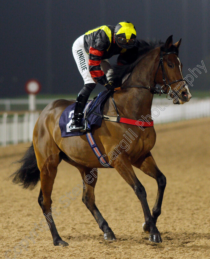 Global-Esteem 
 GLOBAL ESTEEM (Thore Hammer Hansen)
Southwell 3 Mar 2022 - Pic Steven Cargill / Racingfotos.com