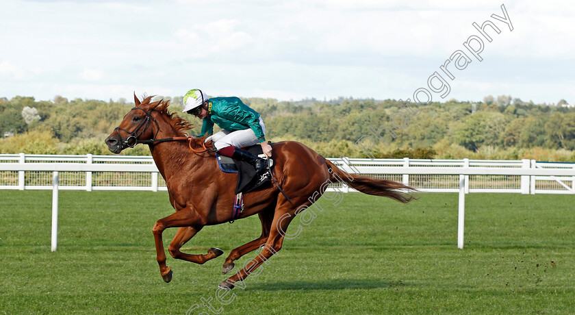 Scope-0002 
 SCOPE (Rob Hornby) wins The Harrogate Water Noel Murless Stakes
Ascot 1 Oct 2021 - Pic Steven Cargill / Racingfotos.com