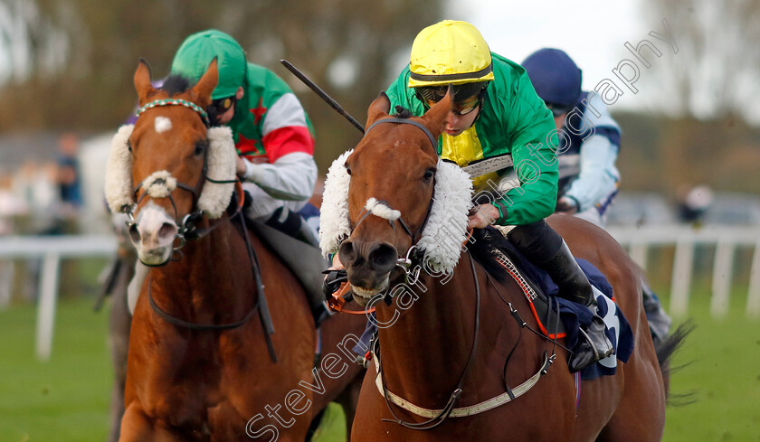 Dapper-Valley-0002 
 DAPPER VALLEY (Tom Marquand) wins The Join Moulton Racing Syndicate Handicap
Yarmouth 22 Oct 2024 - Pic Steven Cargill / Racingfotos.com