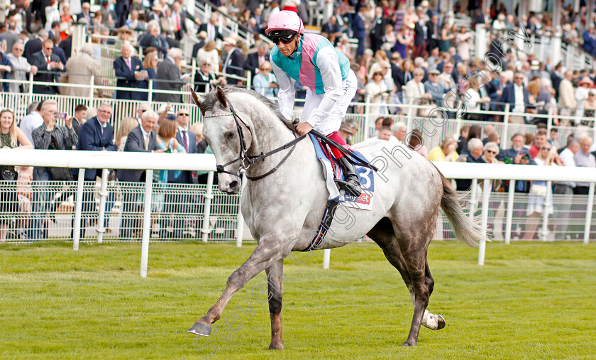 Logician-0002 
 LOGICIAN (Frankie Dettori) before The Sky Bet Great Voltigeur Stakes
York 21 Aug 2019 - Pic Steven Cargill / Racingfotos.com