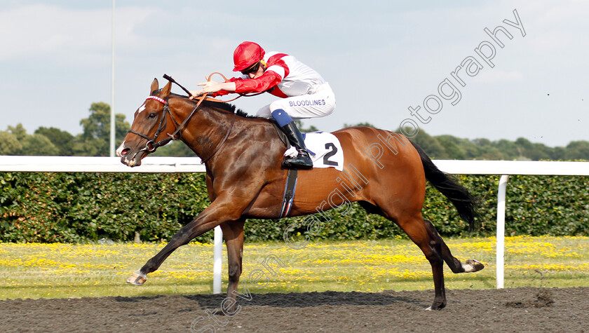 Fortune-And-Glory-0002 
 FORTUNE AND GLORY (David Egan) wins The Wise Betting At racingtv.com Handicap
Kempton 10 Jul 2019 - Pic Steven Cargill / Racingfotos.com