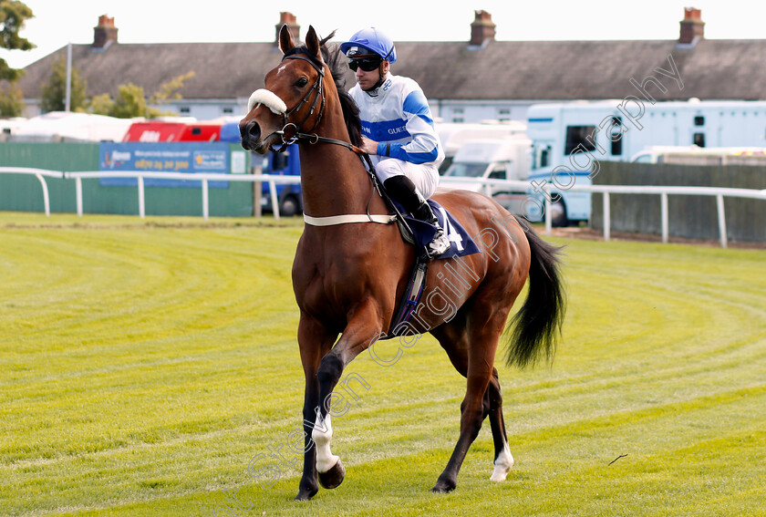 Protected-Guest-0001 
 PROTECTED GUEST (Martin Lane) Yarmouth 19 Sep 2017 - Pic Steven Cargilll / Racingfotos.com