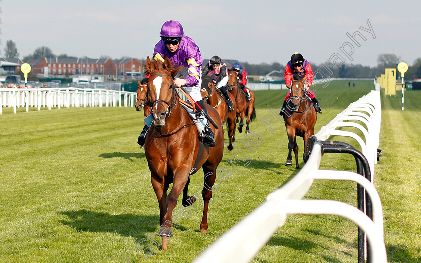 Majestic-Dawn-0001 
 MAJESTIC DAWN (David Probert) wins The Dreweatts Maiden Stakes
Newbury 13 Apr 2019 - Pic Steven Cargill / Racingfotos.com