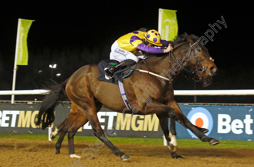 Eagle-Day-0002 
 EAGLE DAY (Rossa Ryan) wins The Betuk Handicap
Wolverhampton 20 Dec 2024 - Pic Steven Cargill / Racingfotos.com