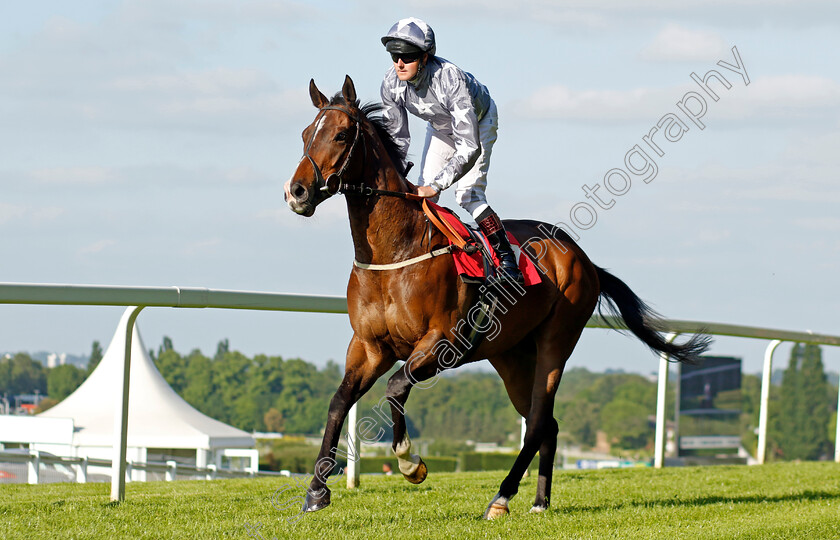 Cephalus-0001 
 CEPHALUS (Tom Queally)
Sandown 25 May 2023 - Pic Steven Cargill / Racingfotos.com