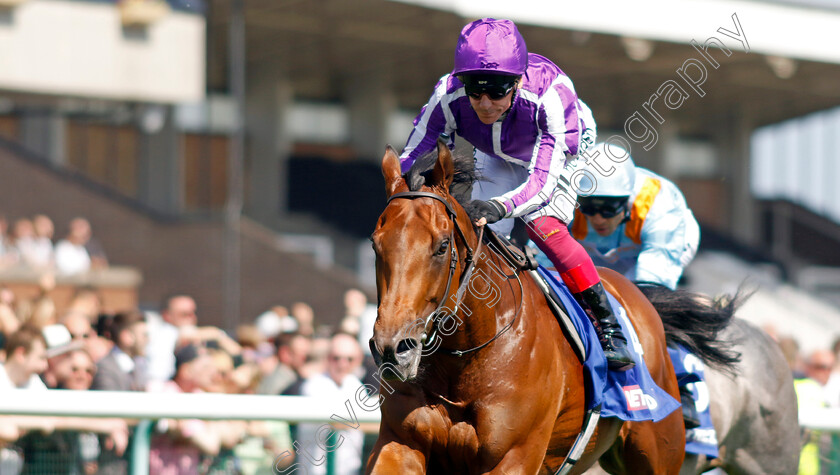 Little-Big-Bear-0004 
 LITTLE BIG BEAR (Frankie Dettori) wins The Betfred Nifty Fifty Sandy Lane Stakes
Haydock 27 May 2023 - pic Steven Cargill / Racingfotos.com