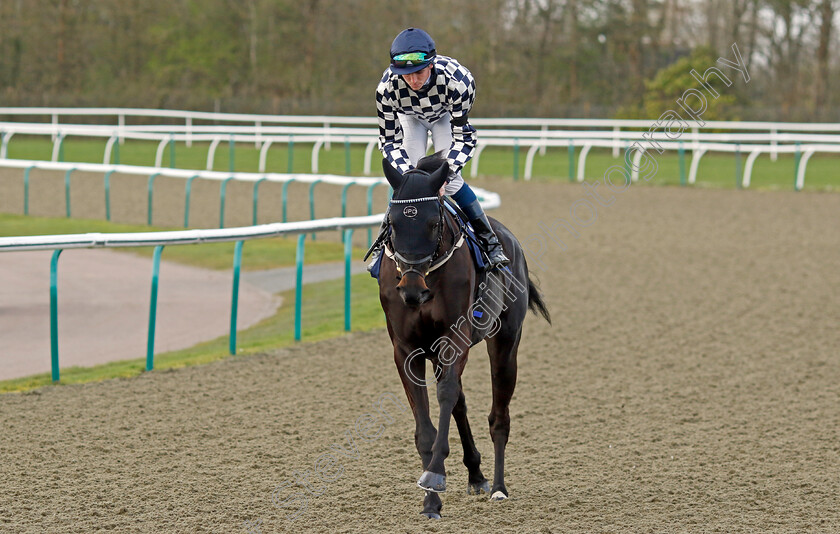 Ronaldoreturns-0001 
 RONALDORETURNS (Darragh Keenan)
Lingfield 4 Apr 2024 - Pic Steven Cargill / Racingfotos.com