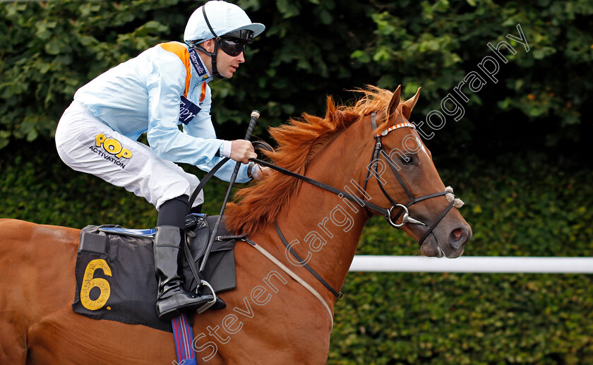 Eighteencaratgold-0001 
 EIGHTEENCARATGOLD (Charles Bishop)
Kempton 7 Aug 2024 - Pic Steven Cargill / Racingfotos.com