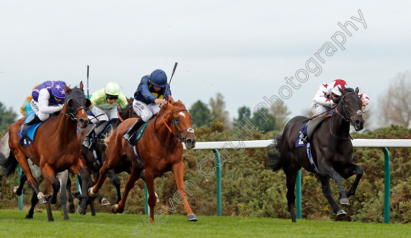 Hajaam-0002 
 HAJAAM (Stevie Donohoe) beats BIG SIGH (2nd left) and FIRST QUEST (left) in The Philip Southgate Socks & Sandals Handicap Yarmouth 24 Oct 2017 - Pic Steven Cargill / Racingfotos.com