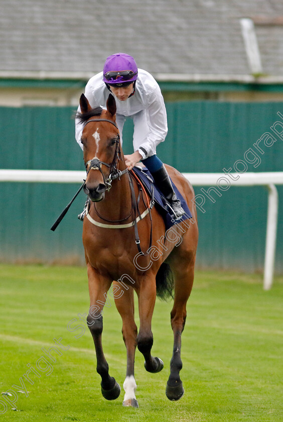 Miss-Mai-Tai-0001 
 MISS MAI TAI (Callum Shepherd)
Yarmouth 19 Sep 2023 - Pic Steven Cargill / Racingfotos.com