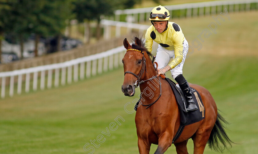 Open-Champion-0002 
 OPEN CHAMPION (Ray Dawson)
Newmarket 22 Jul 2022 - Pic Steven Cargill / Racingfotos.com