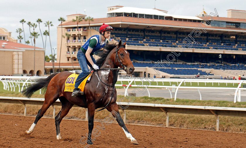 Churchill-0004 
 CHURCHILL training for The Breeders' Cup Classic at Del Mar 2 Nov 2017 - Pic Steven Cargill / Racingfotos.com