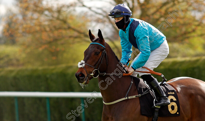 Rebel-At-Dawn-0001 
 REBEL AT DAWN (Richard Kingscote)
Nottingham 7 Apr 2021 - Pic Steven Cargill / Racingfotos.com