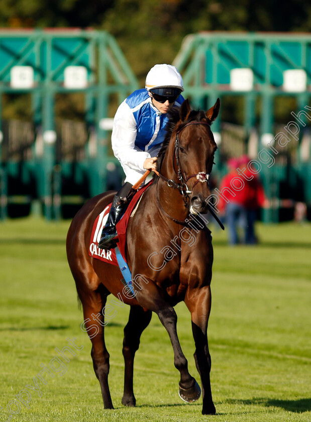 Mosaique-0001 
 MOSAIQUE (Maxime Guyon)
Longchamp 5 Oct 2034 - Pic Steven Cargill / Racingfotos.com