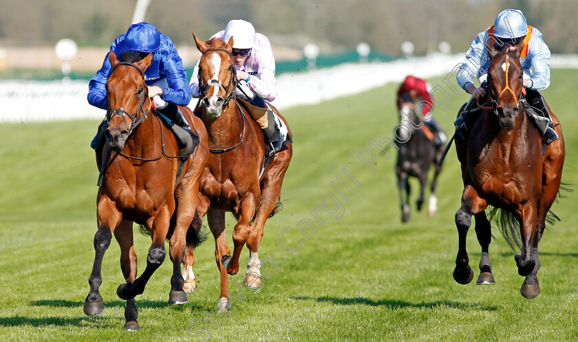 Rastrelli-0006 
 RASTRELLI (left, William Buick) beats TIGRE DU TERRE (right) and BOMBYX (centre) in The Dubai Duty Free Golf World Cup British EBF Stakes Newbury 20 Apr 2018 - Pic Steven Cargill / Racingfotos.com