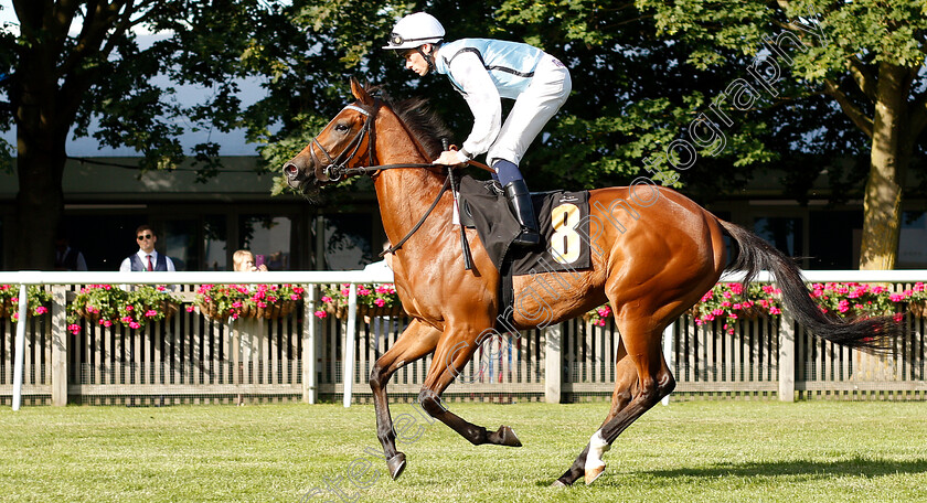 Ultra-Violet-0001 
 ULTRA VIOLET (Kieran Shoemark) winner of The Techtrak British EBF Maiden Fillies Stakes
Newmarket 28 Jun 2019 - Pic Steven Cargill / Racingfotos.com