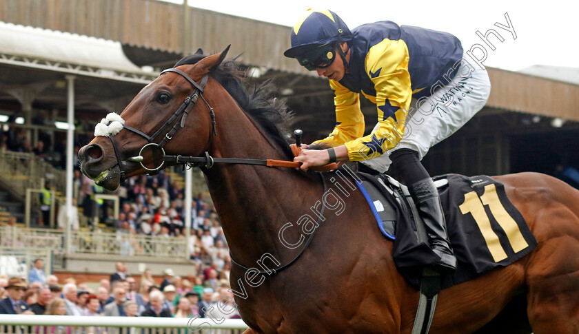 Validated-0002 
 VALIDATED (James Doyle) wins The Federation Of Bloodstock Agents Handicap
Newmarket 12 Jul 2024 - pic Steven Cargill / Racingfotos.com