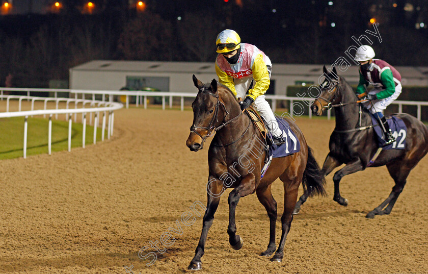 Wallem-0001 
 WALLEM (Hayley Turner) winner of The Betway Maiden Stakes
Wolverhampton 18 Jan 2021 - Pic Steven Cargill / Racingfotos.com