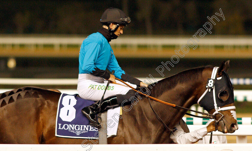 Wrecking-Crew 
 WRECKING CREW (Pat Dobbs)
Meydan 4 Feb 2022 - Pic Steven Cargill / Racingfotos.com