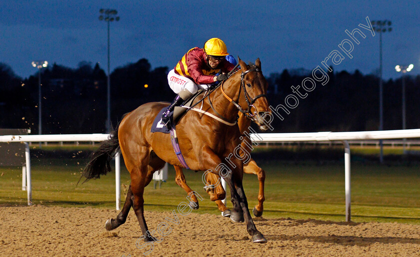 Sea-The-Shells-0005 
 SEA THE SHELLS (Franny Norton) wins The Get Your Ladbrokes Daily Odds Boost Novice Stakes
Wolverhampton 12 Mar 2021 - Pic Steven Cargill / Racingfotos.com