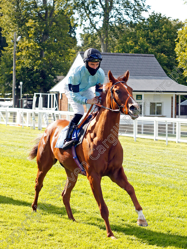 Cirrus-0001 
 CIRRUS (Rossa Ryan)
Pic Steven Cargill / Racingfotos.com