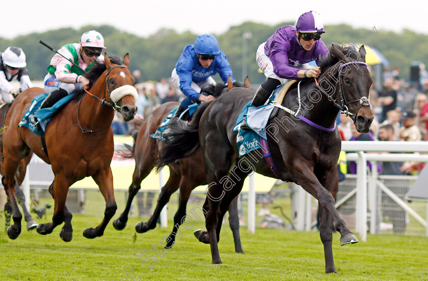 Cuban-Thunder-0003 
 CUBAN THUNDER (Kevin Stott) wins The Frank Whittle Partnership ebfstallions.com Maiden Stakes
York 18 May 2023 - Pic Steven Cargill / Racingfotos.com