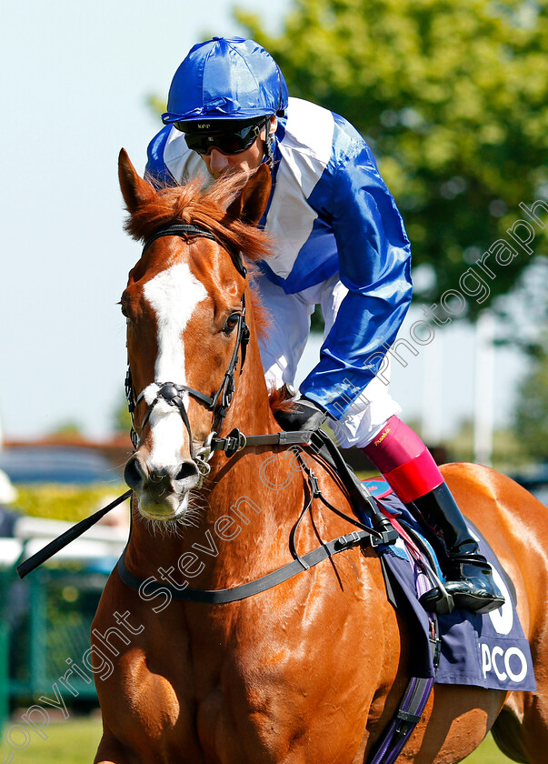 Dommersen-0001 
 DOMMERSEN (Frankie Dettori) Newmarket 5 May 2018 - Pic Steven Cargill / Racingfotos.com