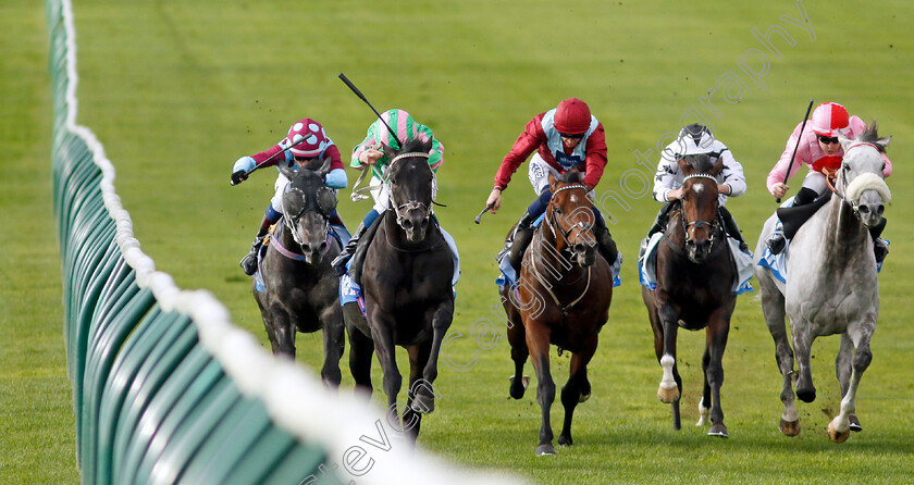 Pogo-0007 
 POGO (William Buick) wins The Thoroughbred Industry Employee Awards Challenge Stakes
Newmarket 7 Oct 2022 - Pic Steven Cargill / Racingfotos.com