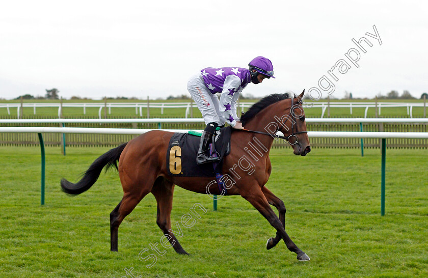 Meu-Amor-0001 
 MEU AMOR (Rossa Ryan)
Newmarket 30 Oct 2020 - Pic Steven Cargill / Racingfotos.com