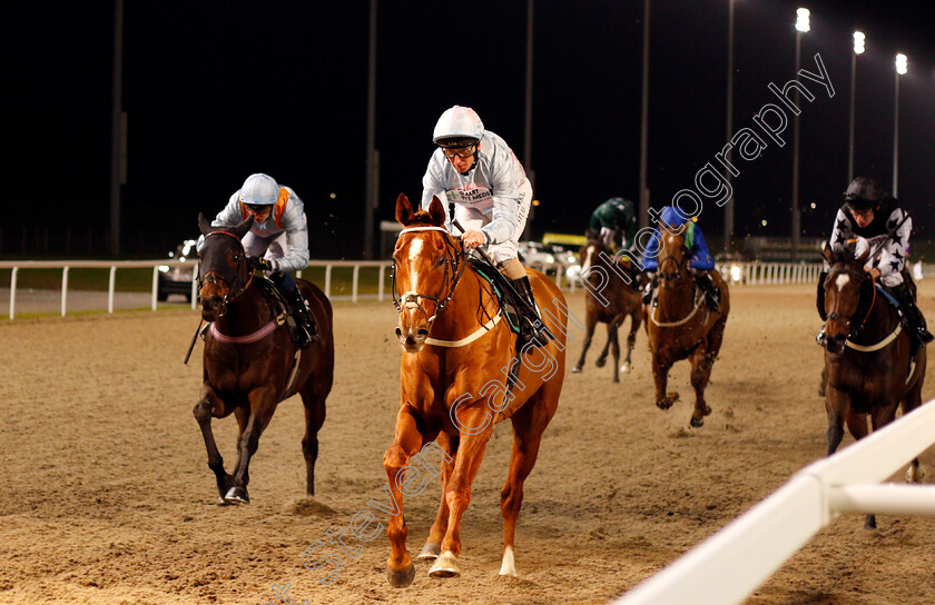 Lucky s-Dream-0002 
 LUCKY'S DREAM (Martin Dwyer) wins The Bet toteswinger At totesport.com Handicap
Chelmsford 11 Jan 2020 - Pic Steven Cargill / Racingfotos.com