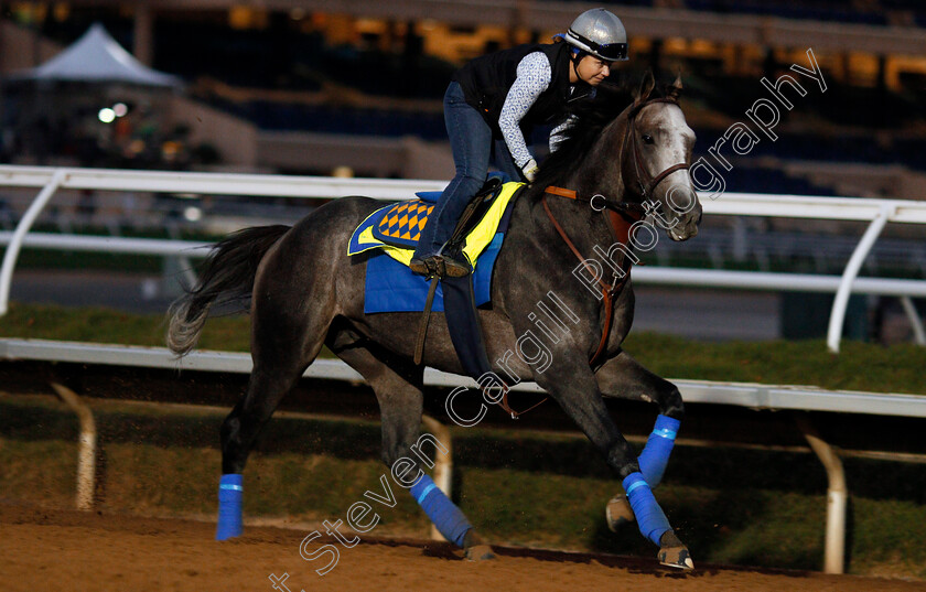 Arrogate-0007 
 ARROGATE training for The Breeders' Cup Classic at Del Mar 2 Nov 2017 - Pic Steven Cargill / Racingfotos.com