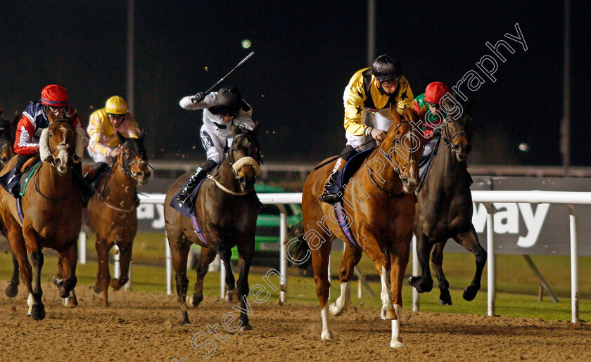 Eldelbar-0002 
 ELDELBAR (Sam James) wins The Bombardier British Hopped Amber Beer Handicap
Wolverhampton 1 Feb 2021 - Pic Steven Cargill / Racingfotos.com