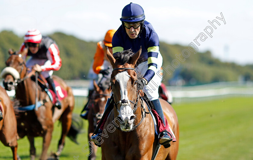 Tynwald-0001 
 TYNWALD (John Reddington) wins The Together Personal Finance Amateur Jockeys Handicap
Haydock 1 Sep 2022 - Pic Steven Cargill / Racingfotos.com