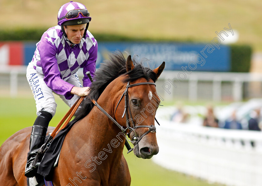 Dark-Thirty 
 DARK THIRTY (Ryan Moore)
Goodwood 26 Jul 2022 - Pic Steven Cargill / Racingfotos.com