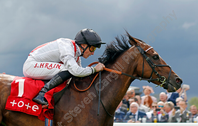 Hamish-0001 
 HAMISH (Tom Marquand) wins The tote.co.uk Ormonde Stakes
Chester 11 May 2023 - Pic Steven Cargill / Racingfotos.com