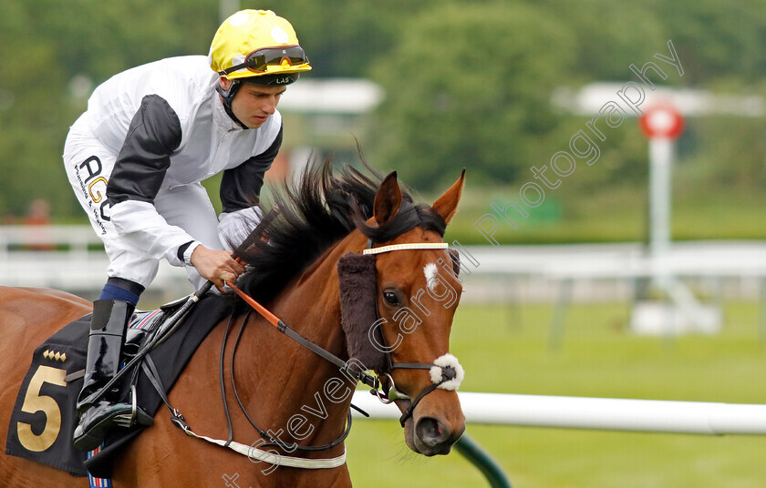 Screaming-Leeagale-0002 
 SCREAMING LEEAGALE (Oliver Searle)
Nottingham 30 May 2023 - Pic Steven Cargill / Racingfotos.com