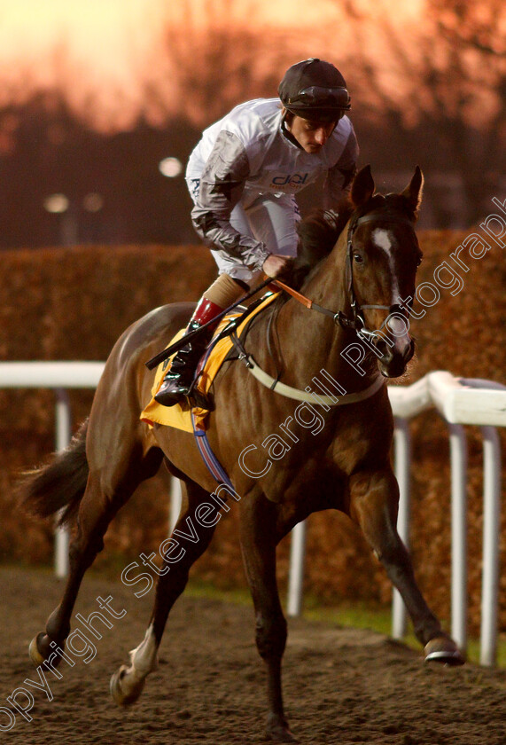 You-Never-Can-Tell-0001 
 YOU NEVER CAN TELL (Adam Kirby)
Kempton 4 Jan 2019 - Pic Steven Cargill / Racingfotos.com