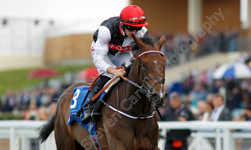 Bartzella-0007 
 BARTZELLA (Tom Marquand) wins The Troy Asset Management Novice Stakes
Ascot 1 Oct 2021 - Pic Steven Cargill / Racingfotos.com