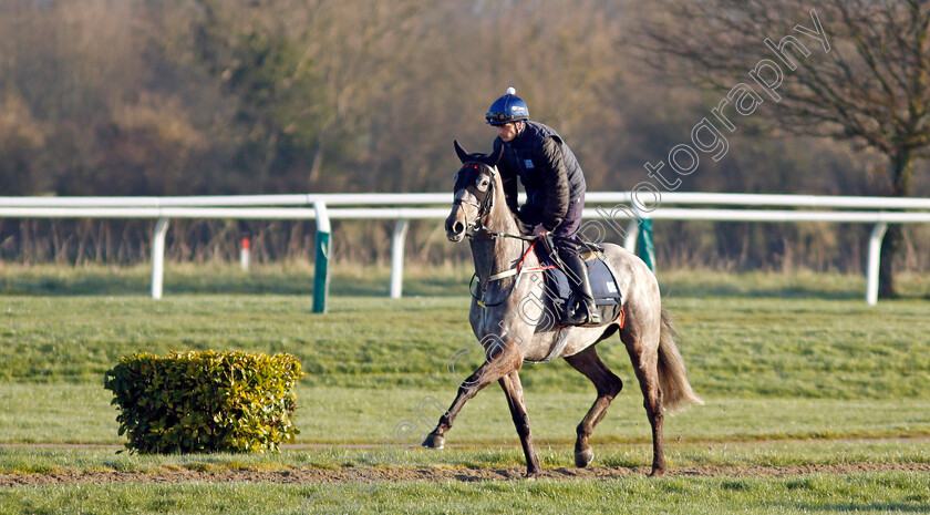 Riviere-d Etel-0002 
 RIVIERE D'ETEL exercising on the eve of the Cheltenham Festival
Cheltenham 14 Mar 2022 - Pic Steven Cargill / Racingfotos.com