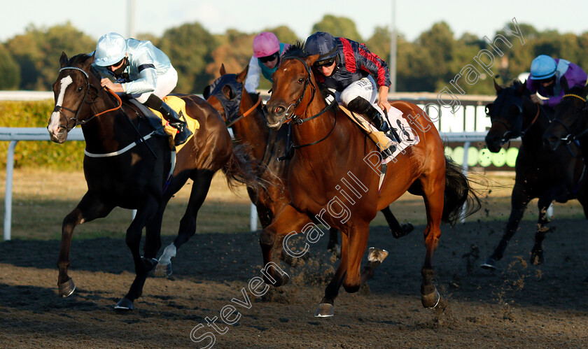 Turn-On-The-Charm-0001 
 TURN ON THE CHARM (right, Tom Marquand) beats LORD NEIDIN (left) in The Unibet 3 Uniboosts A Day Handicap
Kempton 18 Aug 2020 - Pic Steven Cargill / Racingfotos.com