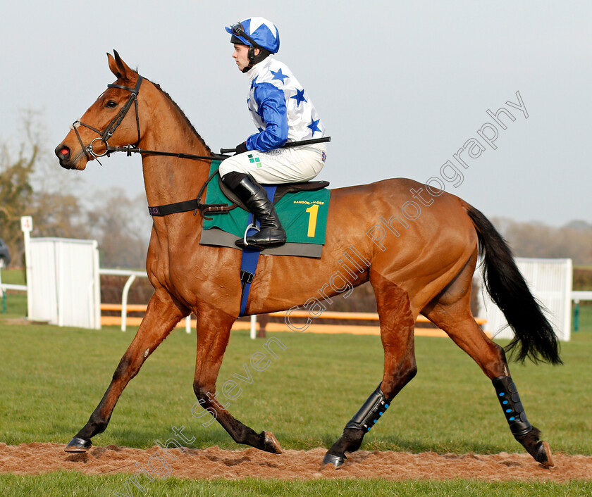 Annie-Mc-0001 
 ANNIE MC (Jonjo O'Neill Jr) before winning The tote Placepot First Bet Of The Day EBF Mares Novices Chase
Bangor-On-Dee 7 Feb 2020 - Pic Steven Cargill / Racingfotos.com