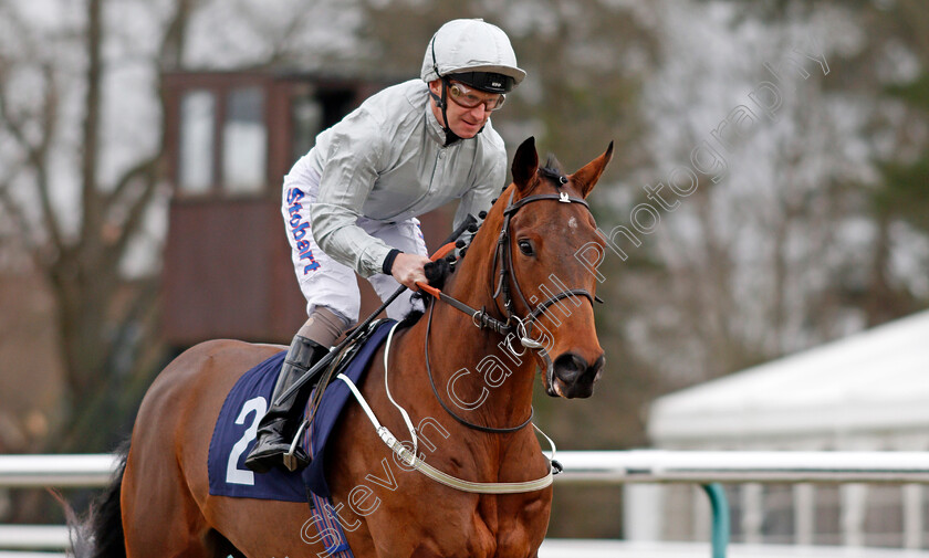 Firlinfeu-0002 
 FIRLINFEU (Joe Fanning) Lingfield 2 Feb 2018 - Pic Steven Cargill / Racingfotos.com