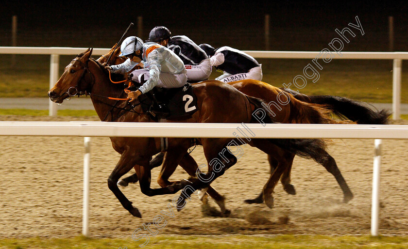 Red-Bond-0003 
 RED BOND (Sean Levey) wins The Bet totetrifecta At totesport.com Handicap
Chelmsford 21 Feb 2019 - Pic Steven Cargill / Racingfotos.com