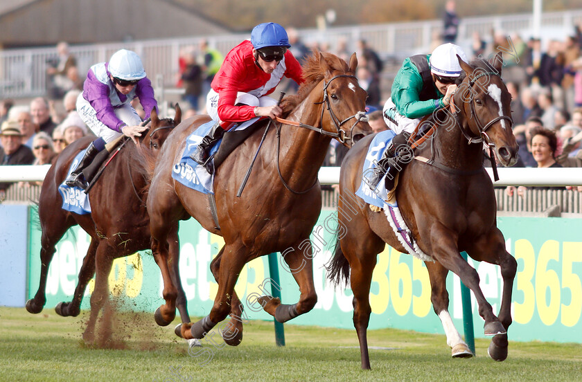 Limato-0003 
 LIMATO (Harry Bentley) wins The Godolphin Stud And Stable Staff Awards Challenge Stakes
Newmarket 12 Oct 2018 - Pic Steven Cargill / Racingfotos.com