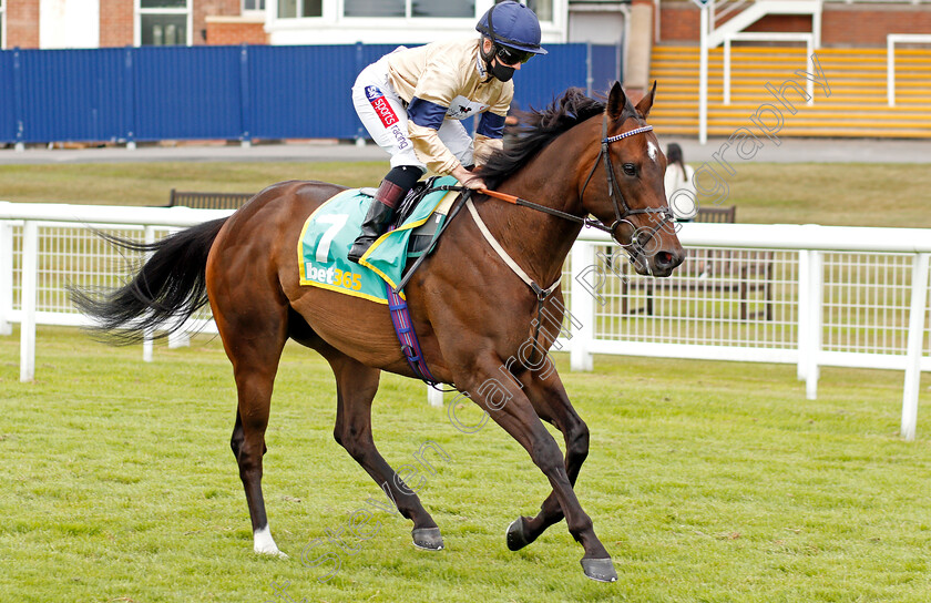 Highland-Dress-0001 
 HIGHLAND DRESS (Hollie Doyle)
Newbury 19 Jul 2020 - Pic Steven Cargill / Racingfotos.com