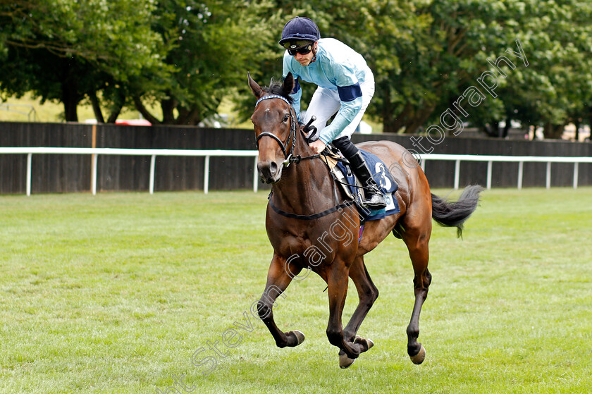 Cashew-0001 
 CASHEW (James Doyle)
Newmarket 31 Jul 2021 - Pic Steven Cargill / Racingfotos.com