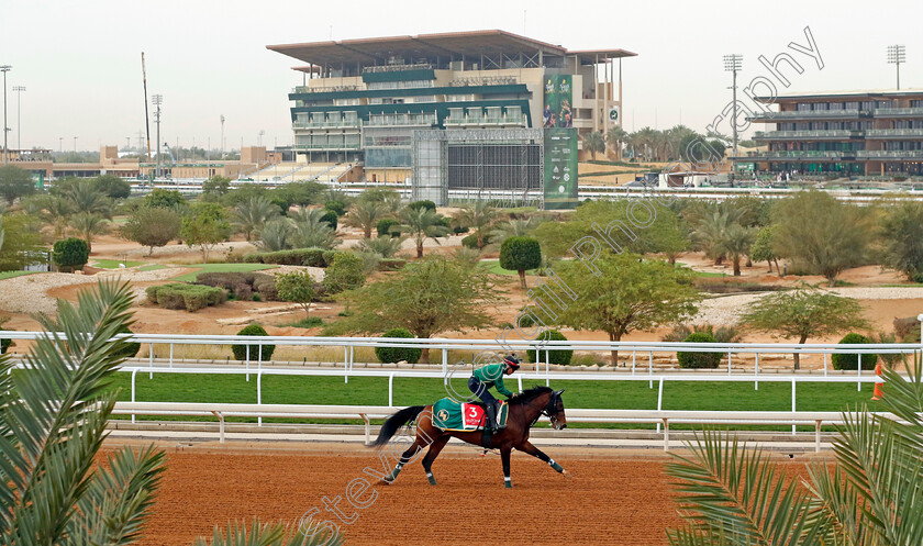 Iron-Barows-0001 
 IRON BAROWS training for The Red Sea Turf Handicap
King Abdulaziz Racetrack, Saudi Arabia 22 Feb 2024 - Pic Steven Cargill / Racingfotos.com