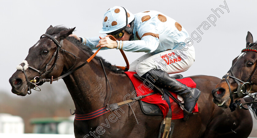 Saint-Anapolino-0002 
 SAINT ANAPOLINO (Micheal Nolan) wins he Ladbrokes Handicap Hurdle
Kempton 22 Feb 2025 - Pi Steven Cargill / Racingfotos.com