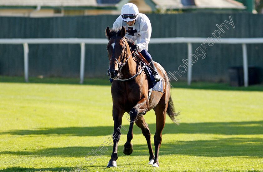 Lovelifenlaughter-0001 
 LOVELIFENLAUGHTER (Silvestre de Sousa)
Yarmouth 17 Sep 2024 - Pic Steven Cargill / Racingfotos.com